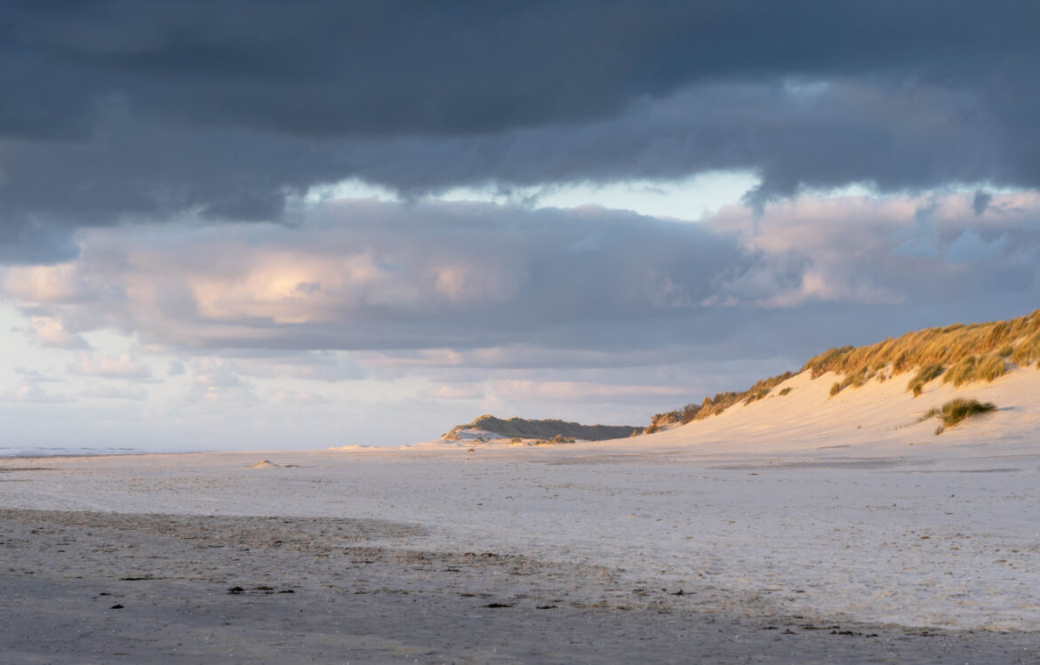 Amelandse duinen